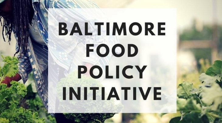 Food Equity Cohort Application Now Accepting